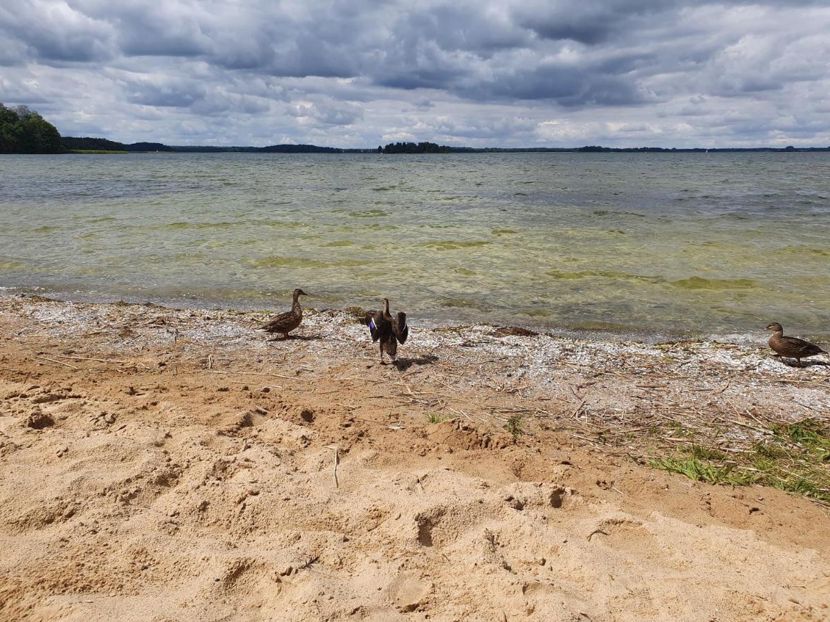 Fuledzki Bialy Domek - Mazury, Jacuzzi, Sauna, Gizycko Fuleda Екстериор снимка